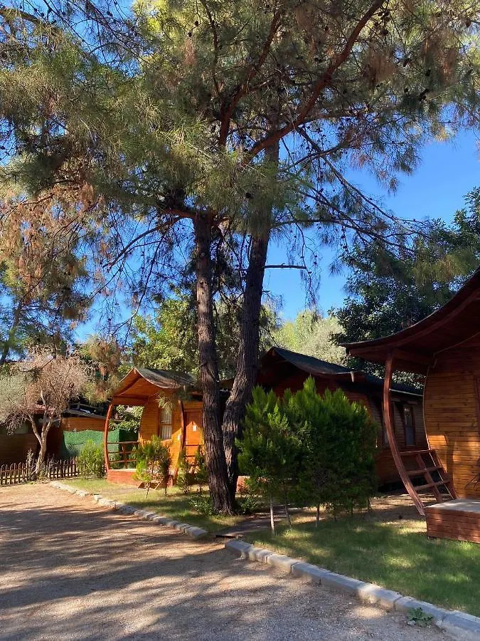 Hotel Green Pine Bungalows & Beach Luxury Concept Oludeniz Turkey