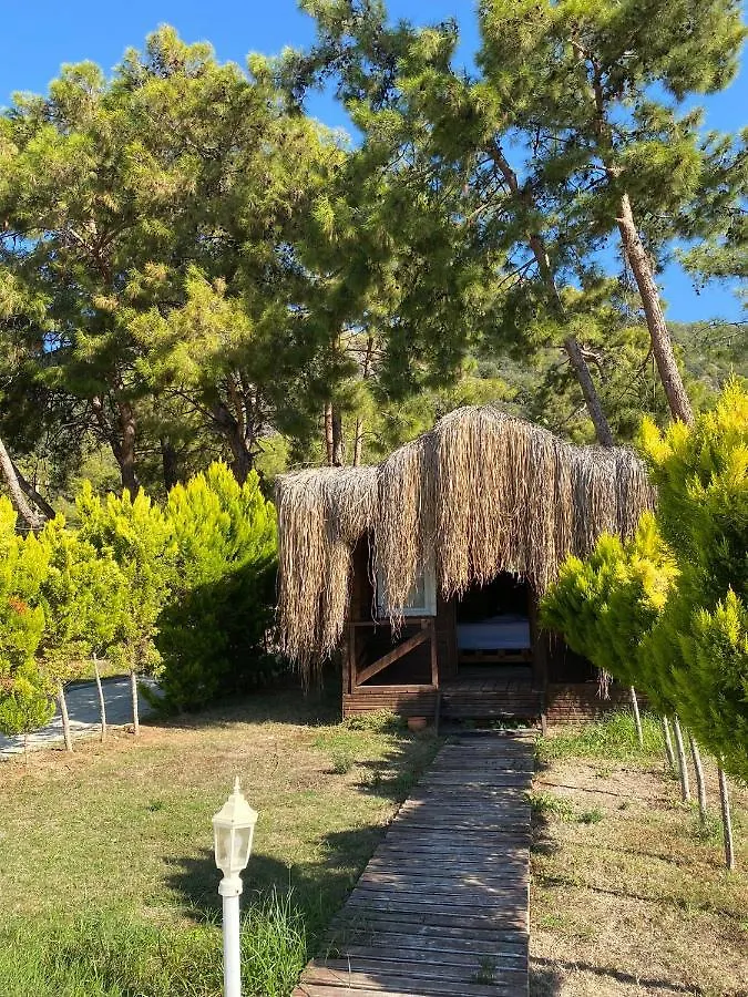 Green Pine Bungalows & Beach Luxury Concept Oludeniz Hotel