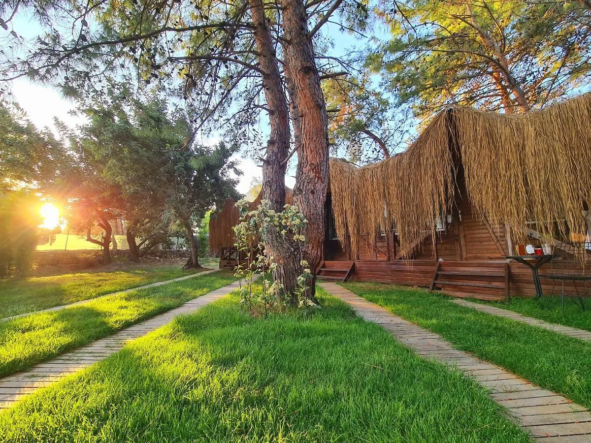 Green Pine Bungalows & Beach Luxury Concept Ölüdeniz Turquie