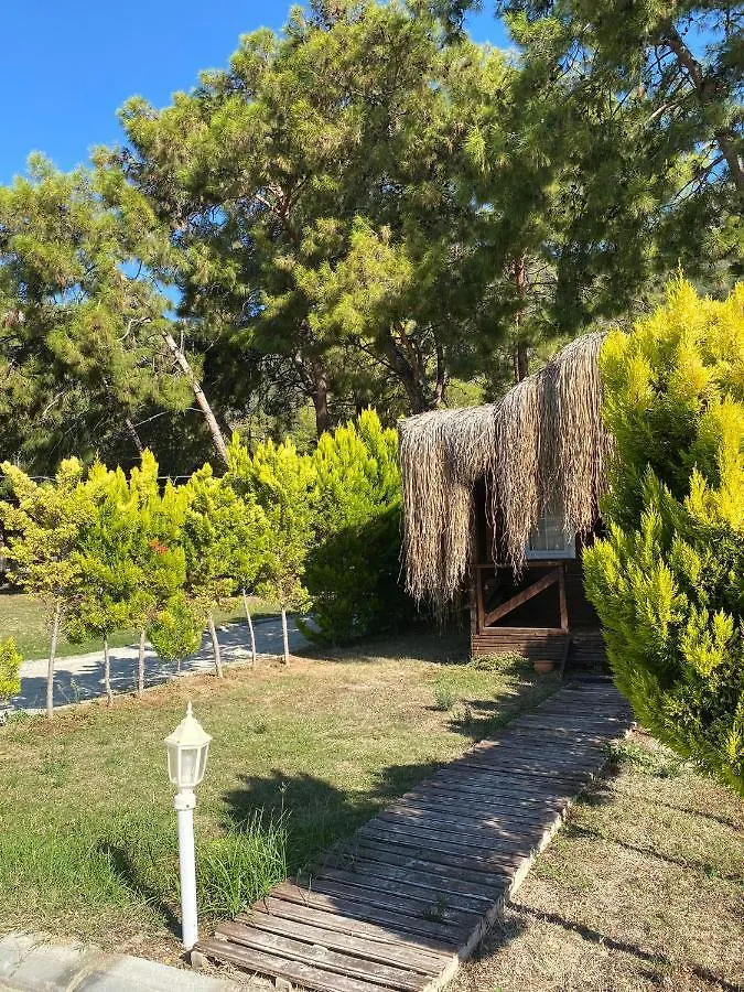 Green Pine Bungalows & Beach Luxury Concept Ölüdeniz Hotel