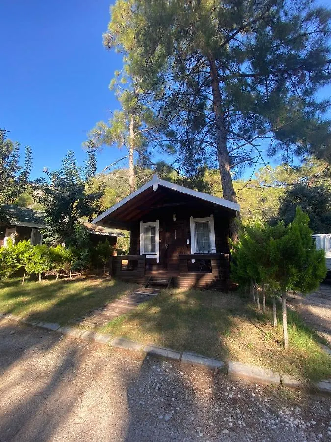 Green Pine Bungalows & Beach Luxury Concept Ölüdeniz Otel