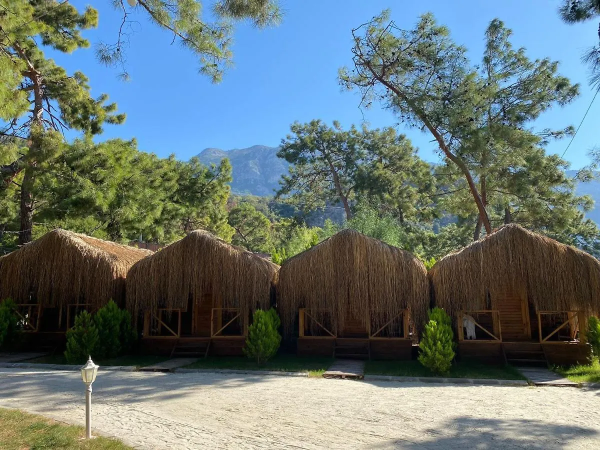 ホテル Green Pine Bungalows & Beach Luxury Concept オルデニズ トルコ