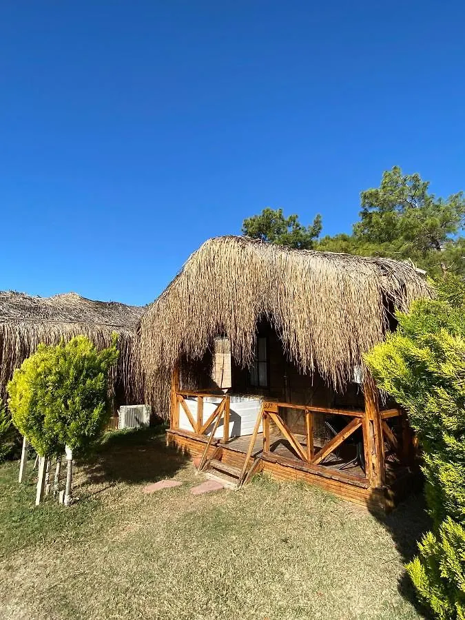 Green Pine Bungalows & Beach Luxury Concept オルデニズ