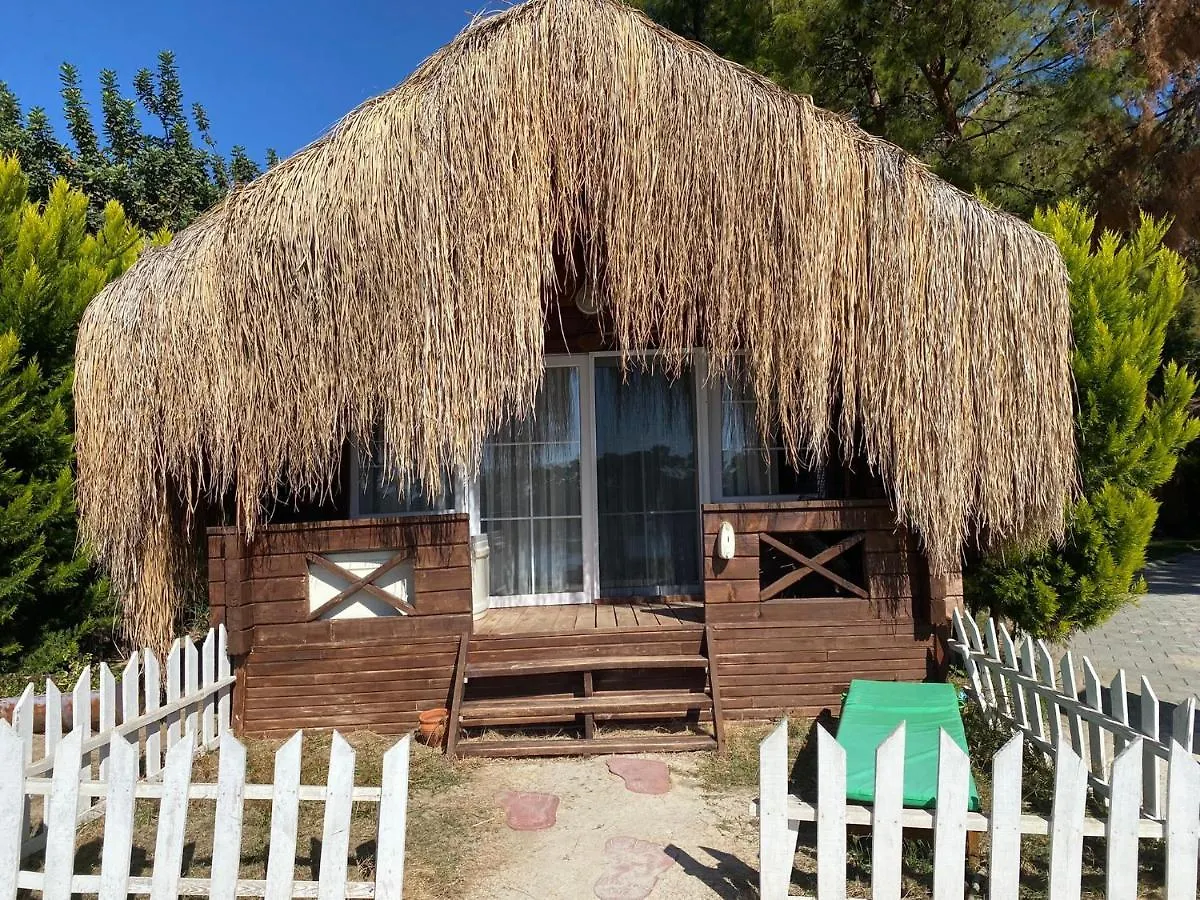 ホテル Green Pine Bungalows & Beach Luxury Concept オルデニズ